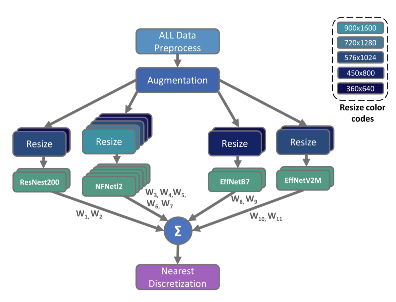 Flow diagram of full data processing and model training pipeline. Data is augmented, resized to various dimensions, and then used to train four different types of model backbones.