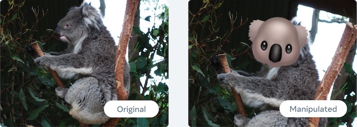 A pair of original and manipulated images. The original image is a photo of a koala, and the manipulated image is a copy which has been rotated and has koala emoji overlaid.