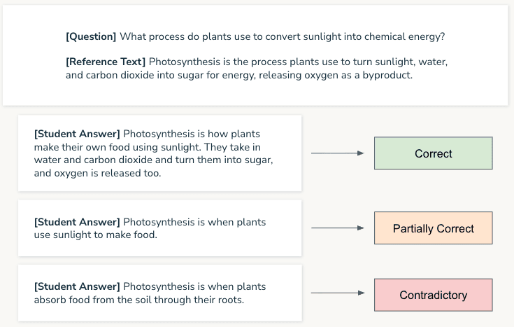 Diagram evaluating three student answers against a reference text about photosynthesis. The first detailed answer is graded "Correct", the second brief answer is "Partially Correct", and the third incorrect answer is "Contradictory".