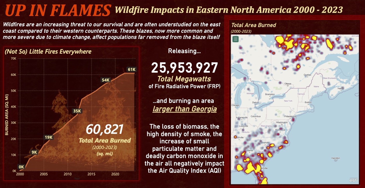 Winning team Hunatek-Kalman's visualization. Shows an inforgraphic with stastics about the damage caused by wildfires.
